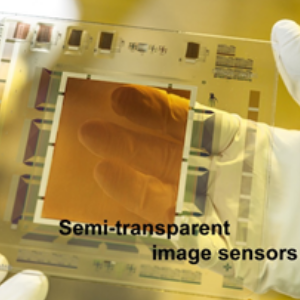 TFT in Medical Imaging